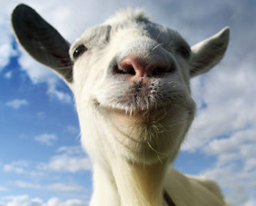 Goat Simulator Apk