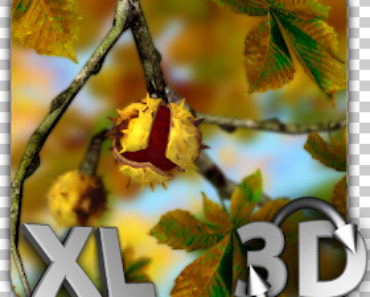Autumn Leaves in HD Gyro 3D XL Parallax Wallpaper Apk