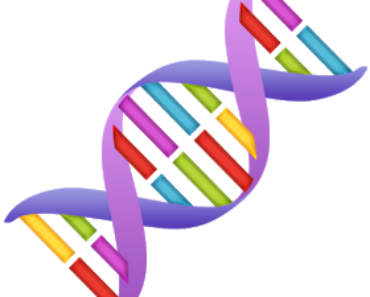 Genetic Helper Apk