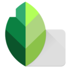 Snapseed Mod Apk Download v2.19.1.303051424