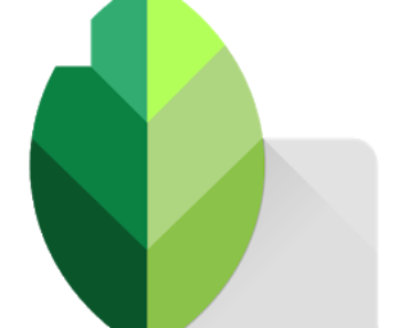 Snapseed Mod Apk